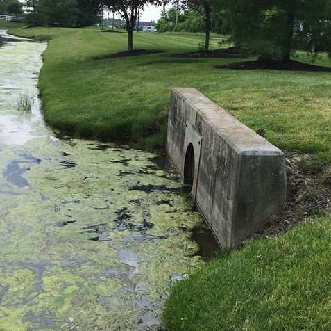 Concrete drainage pipe by a pond for environmental consulting services.