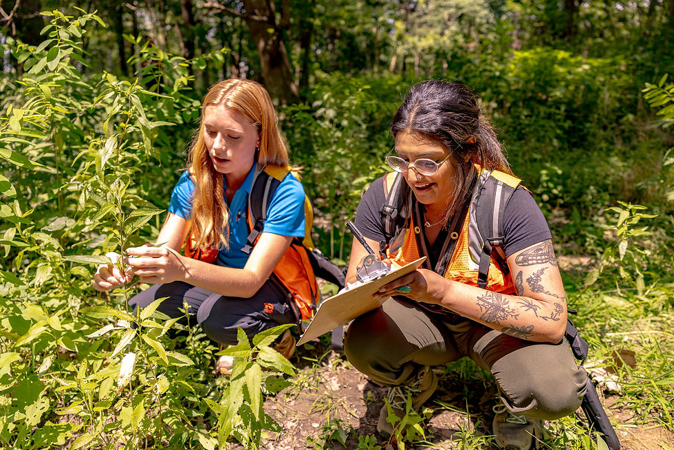 Environmental specialists from American Structurepoint surveying plants.