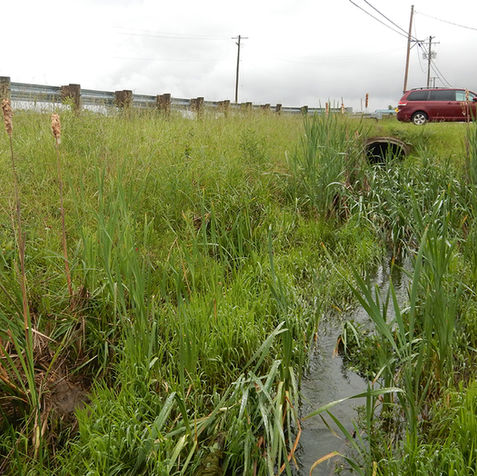 American Structurepoint expert inspecting a grassy swale.