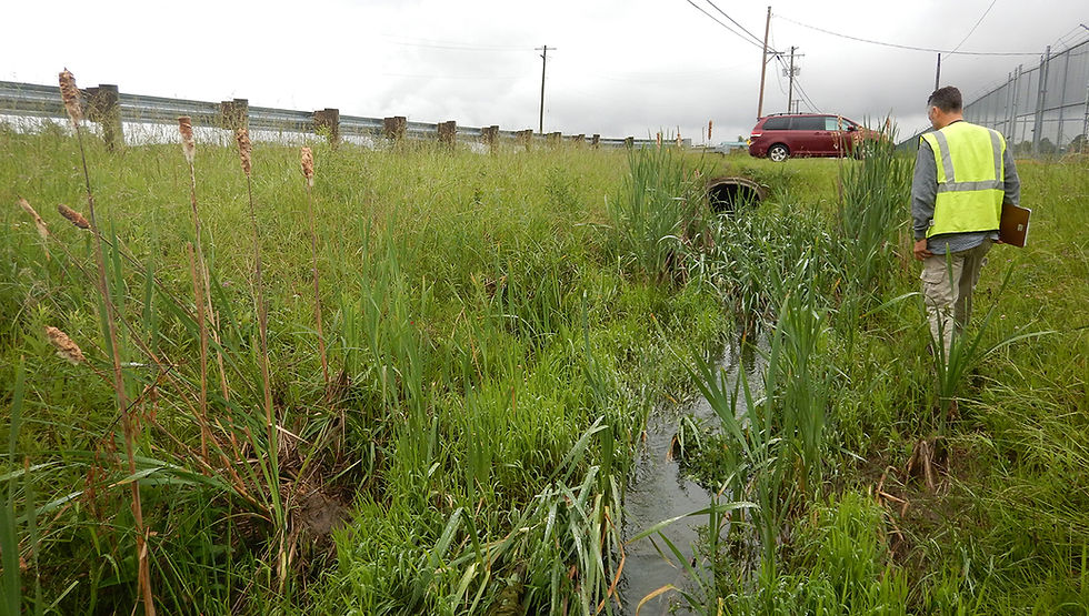 Field worker performing environmental consulting services.