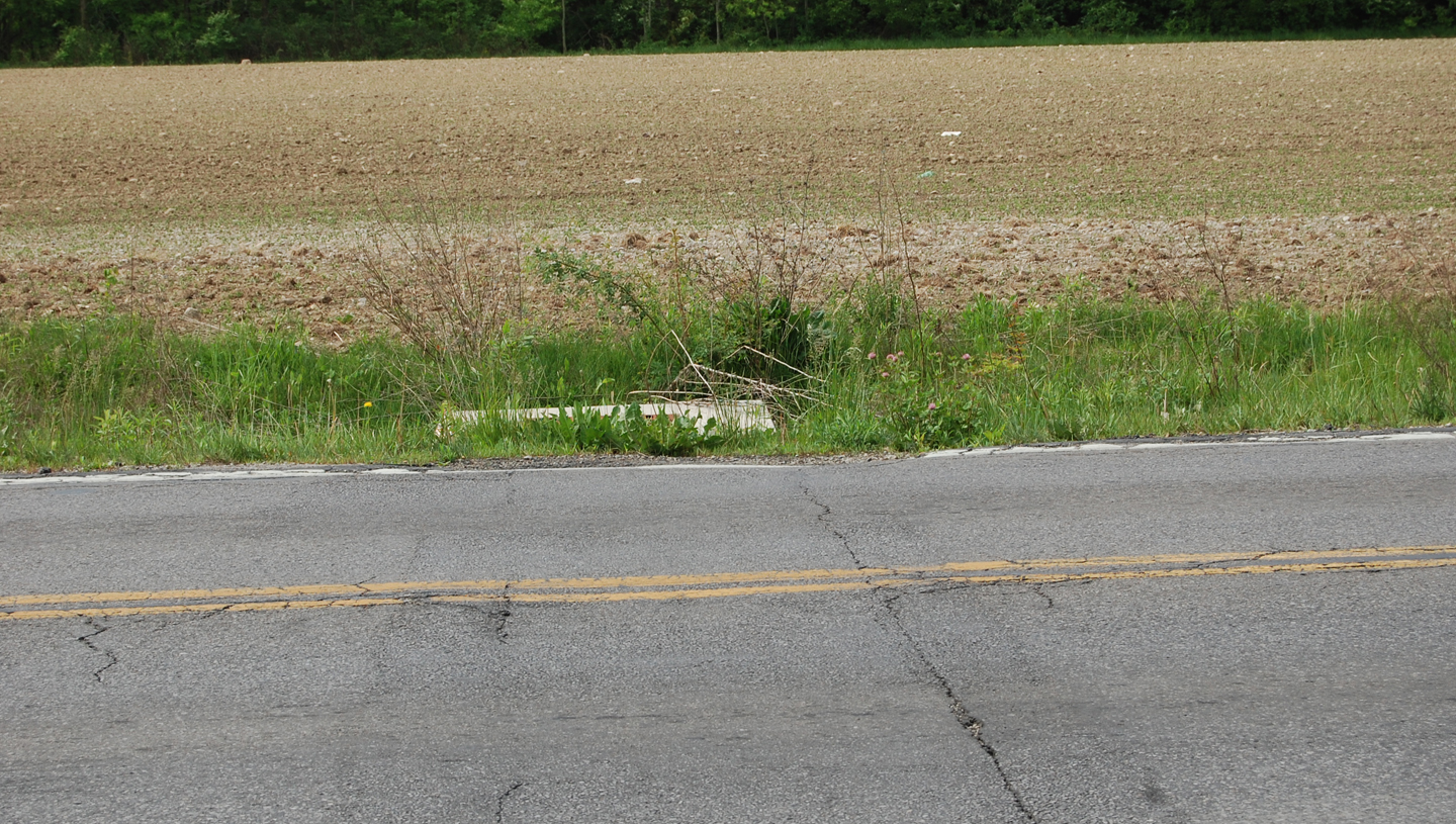 Briggs Road Area Water Line Improvements