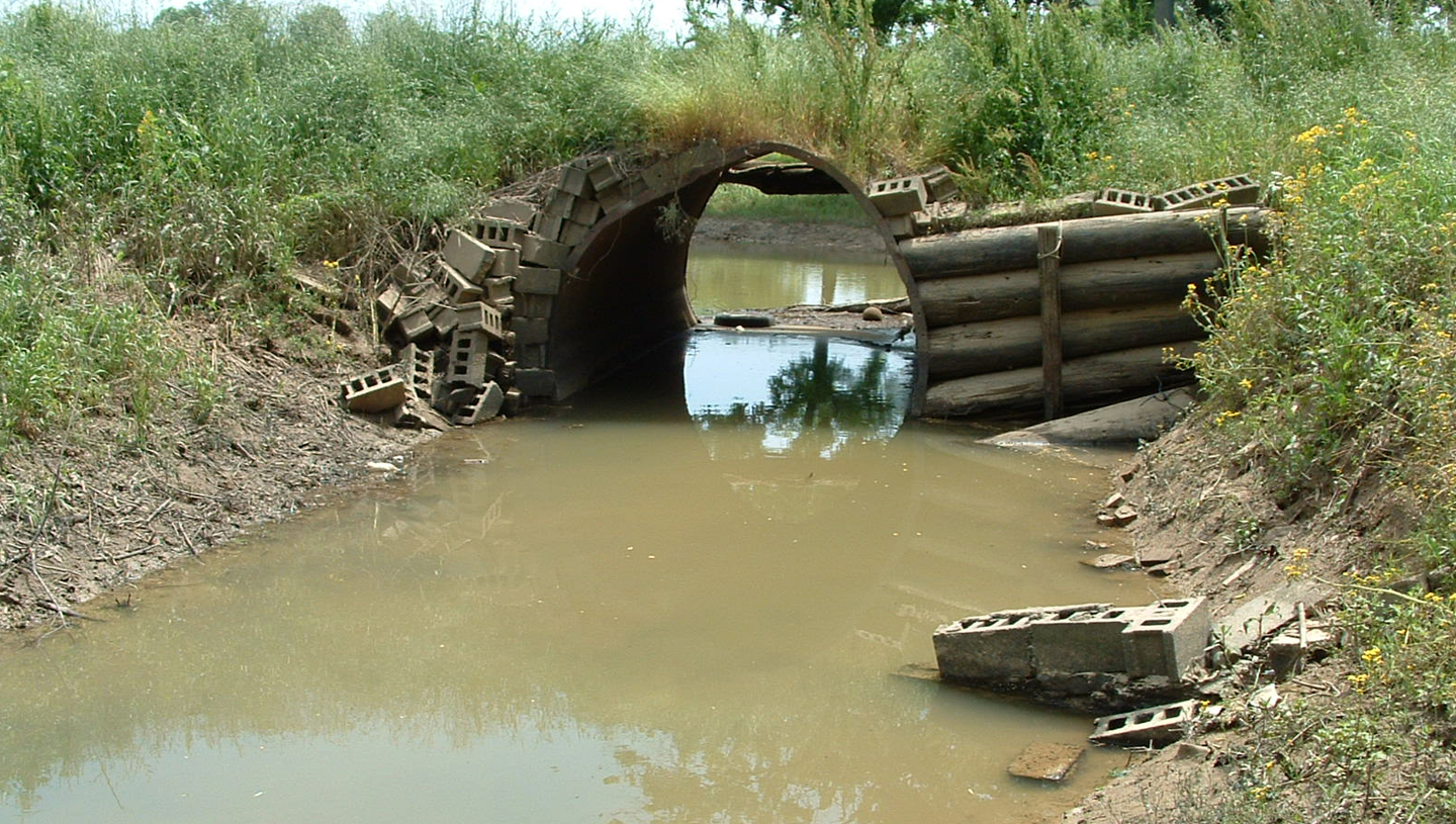 Carpentier Creek Study